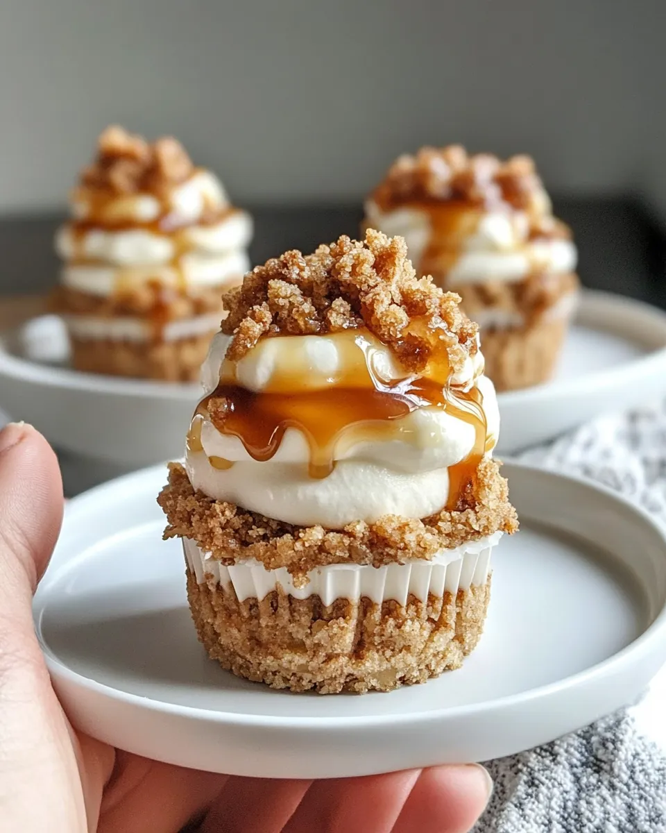 Homemade Caramel Apple Crisp Cheesecake Cups photo