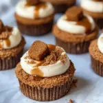 Homemade Mini Lotus Biscoff Swirl Cheesecakes recipe photo