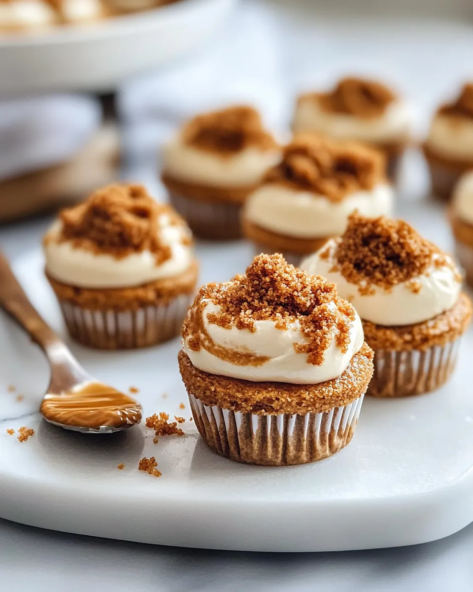 Classic Mini Lotus Biscoff Swirl Cheesecakes dish photo