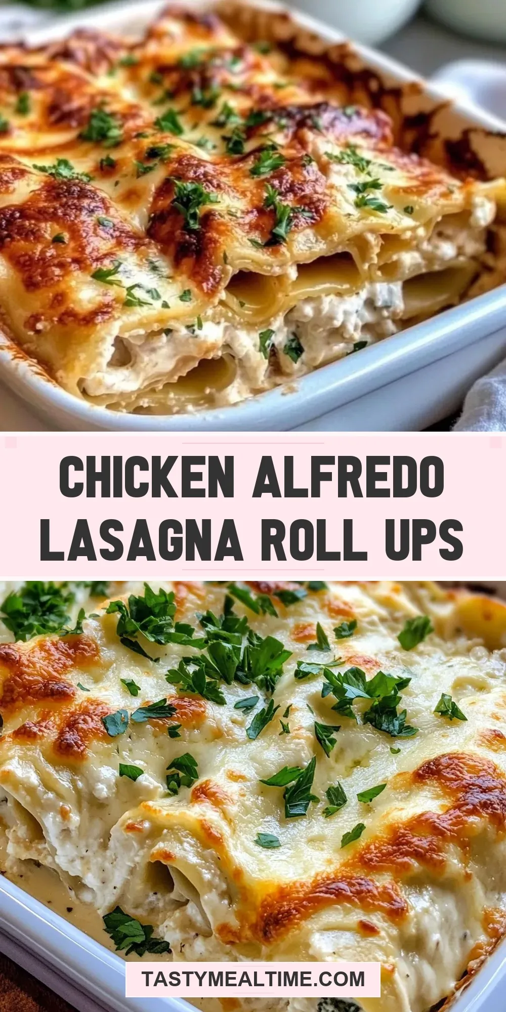 Chicken Alfredo Lasagna Roll Ups (Flavorful & Delicious)