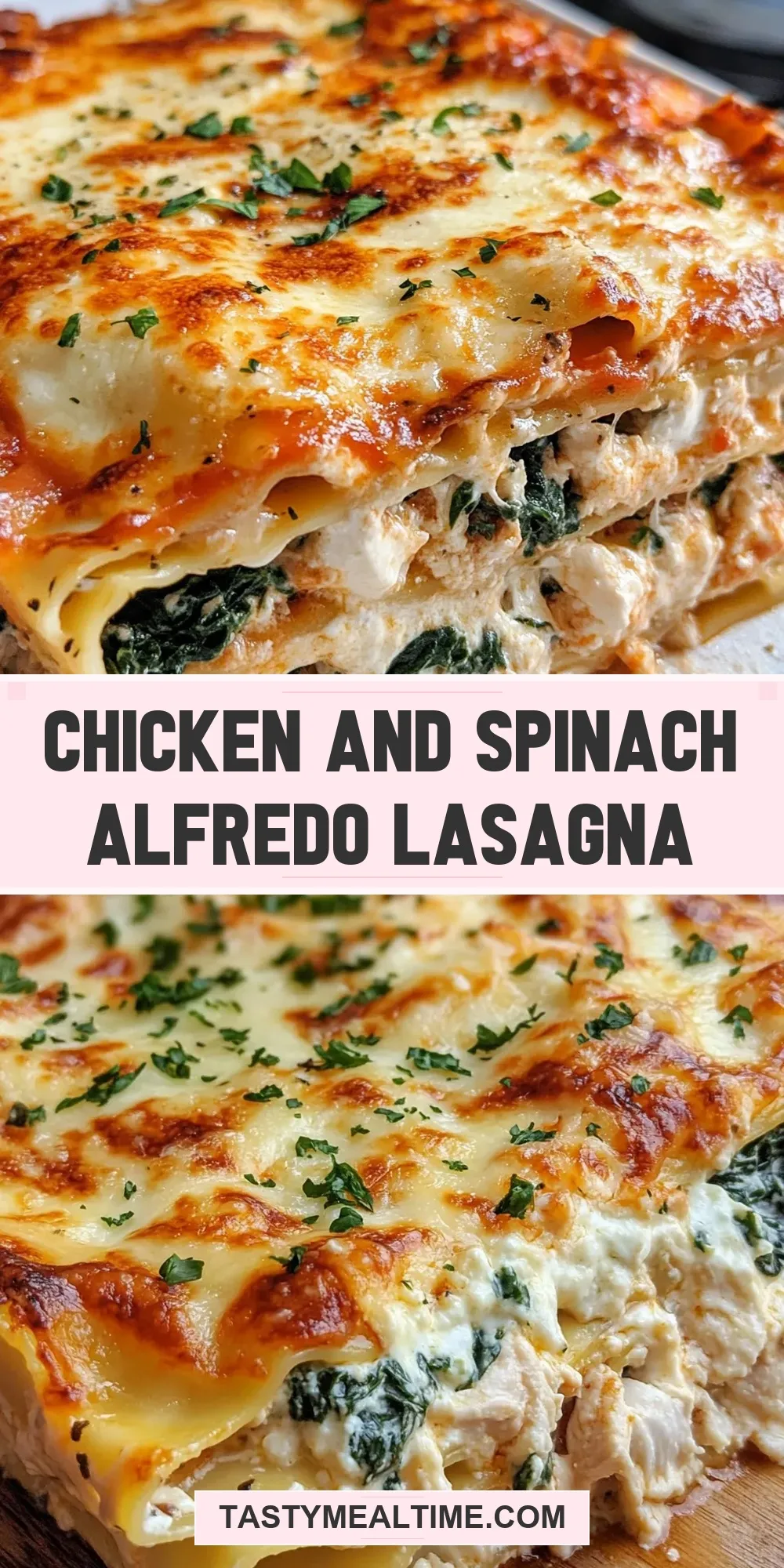 Easy Chicken And Spinach Alfredo Lasagna Recipe