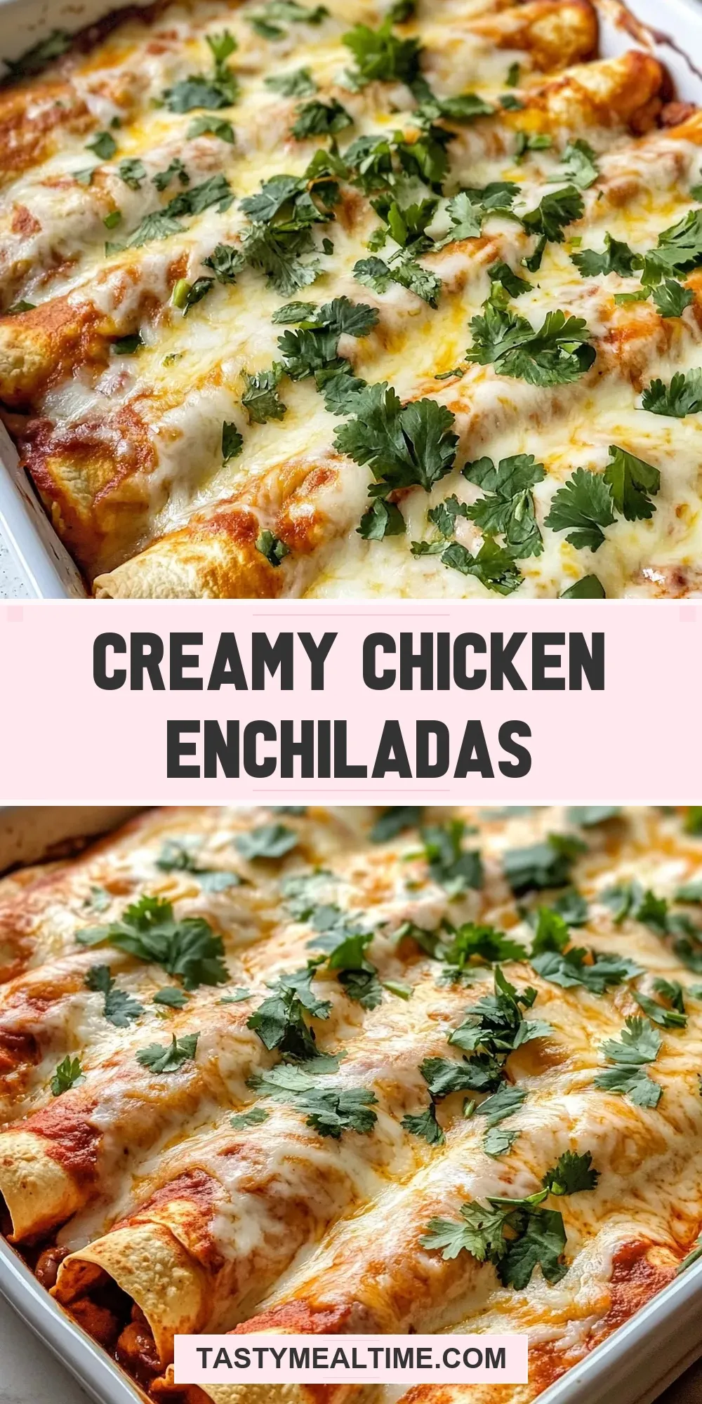 Creamy Chicken Enchiladas (Delicious & Delicious)