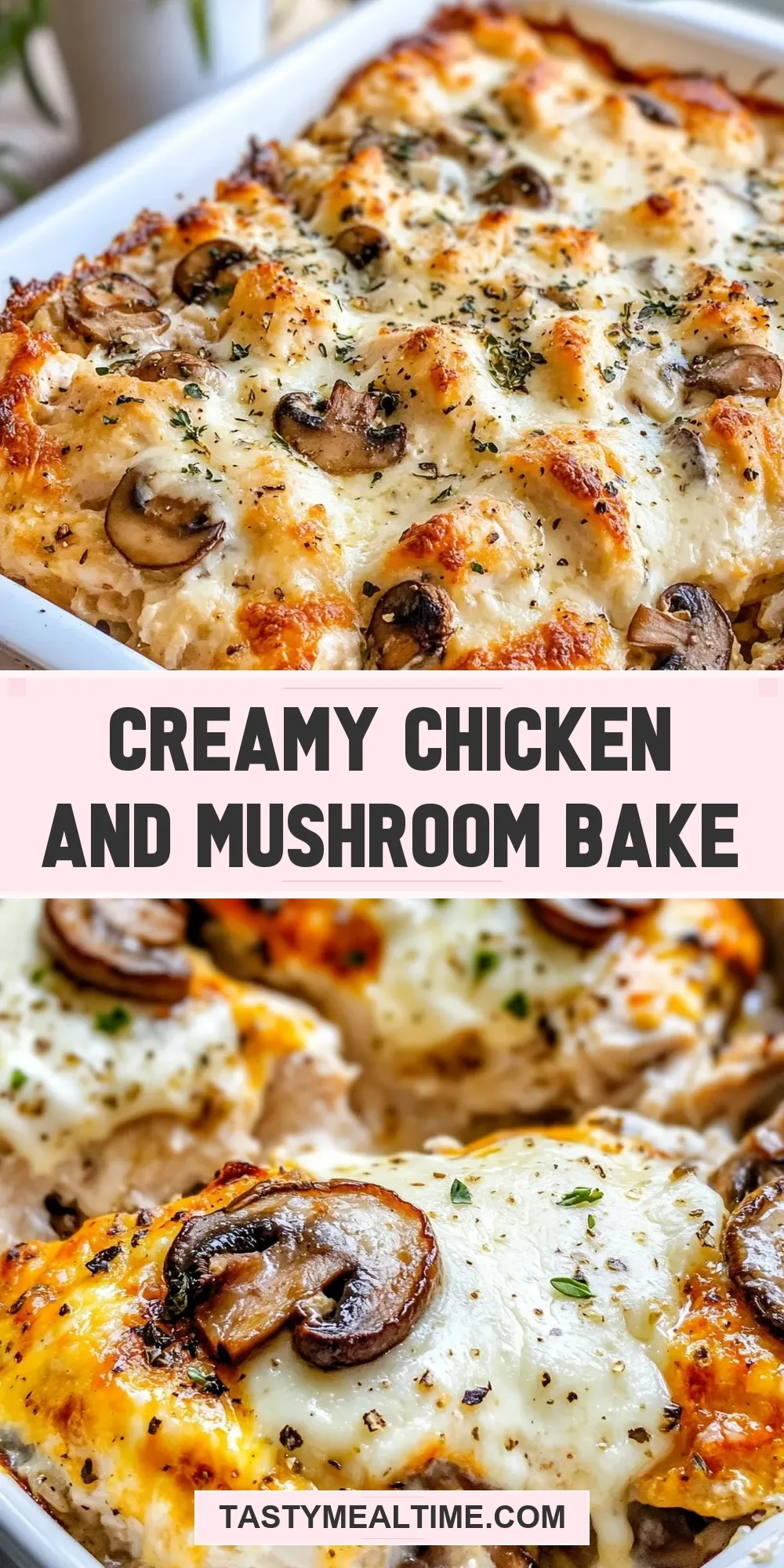 Easy Creamy Chicken And Mushroom Bake Recipe