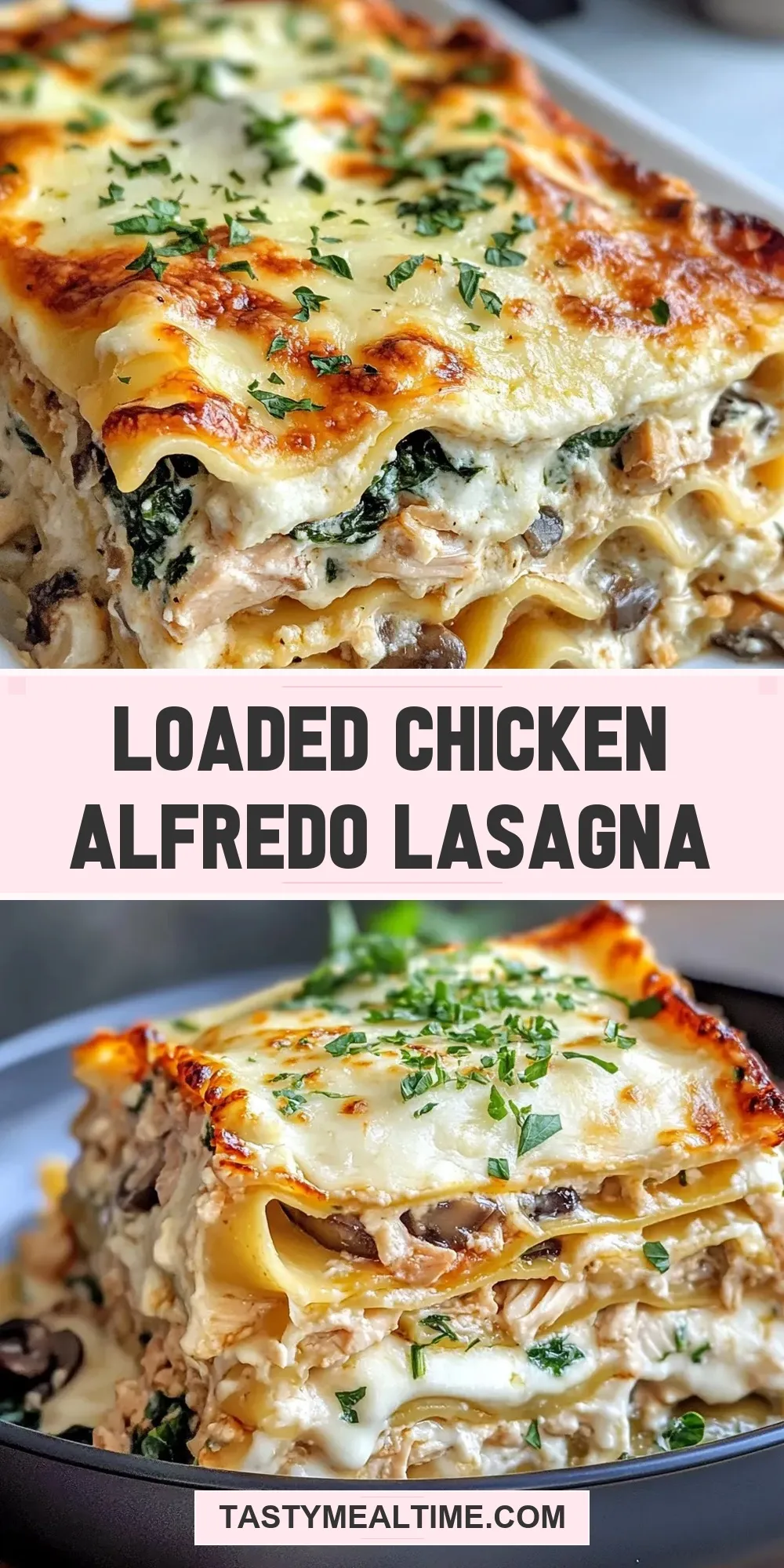 Loaded Chicken Alfredo Lasagna (Ultimate & Delicious)