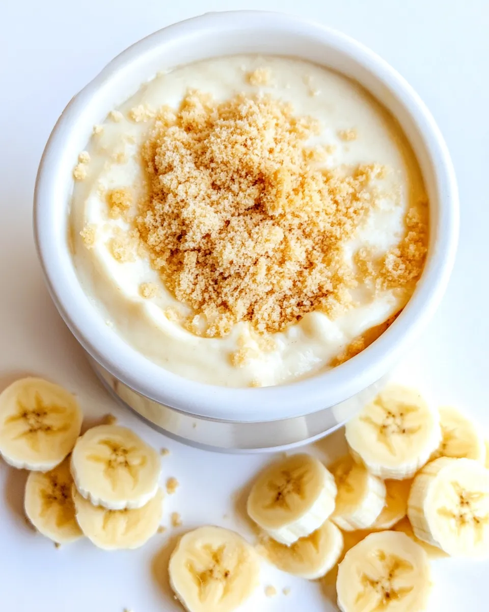 Classic Banana Pudding Dip image