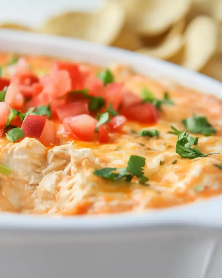 Homemade Chicken Nacho Dip photo