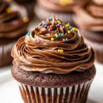 Homemade Chocolate Cupcakes with Fudge Frosting photo