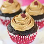 Homemade Chocolate Cupcakes with Penuche Frosting photo