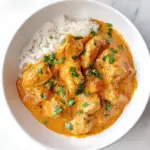 Homemade Instant-Pot Chicken Tikka Masala photo