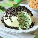 Homemade Mint Chocolate Chip Cheese Ball photo