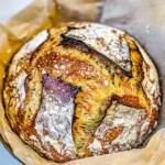 Easy No Knead Whole Wheat Bread photo