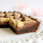 Easy Peanut Butter Cup Chocolate Chip Brownies photo