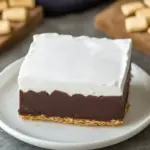Homemade Smores Fudge Bars photo